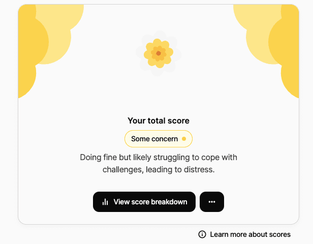 A yellow infographic showing a total score of some concern with a button to see score breakdown.