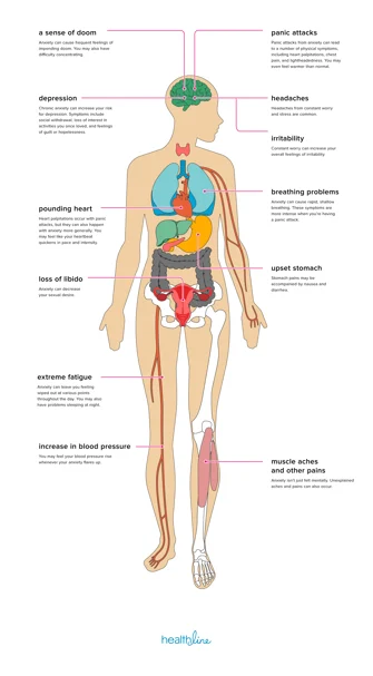 Diagram of the Effects of Anxiety on the Body